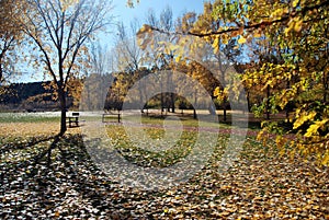 Quiet Autumn Park