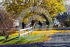 Quiet autumn street