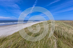 Quiet beach on Wadden island