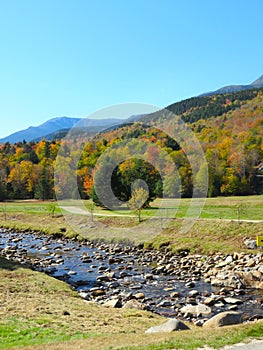 Blue sky and fall color hillside