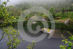 Quiet calm panorama of a fabulous view by lake. Tranquil Scene. A relaxing evening on shore of transparent clean water lake in