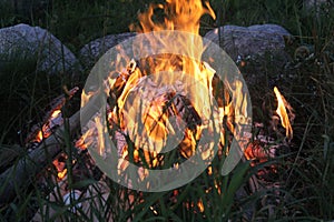 Quiet campfire at warm summer day.