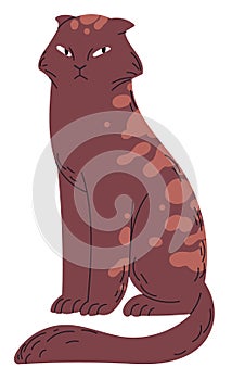 The quiet cat is sitting Vector illustration