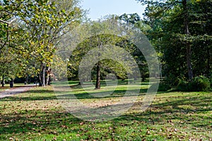 Quiet Day in the Park