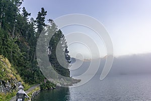 The quiet douglas tree woods on the shore of the lake of Silvaplana in the Engadin valley at sunrise with the fog over the water