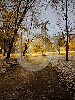 In the quiet embrace of night, the city park awakens with the warm glow of street lamps