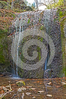 Quiet Falls in the Forest