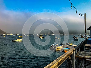 Quiet on the Foggy Maine Harbor