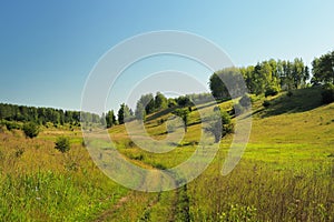 Quiet green summer hill slope with trees, road and blue sky