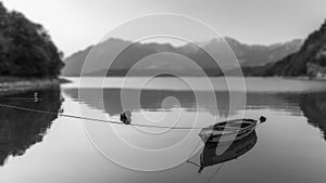 Quiet on the lake in black and white