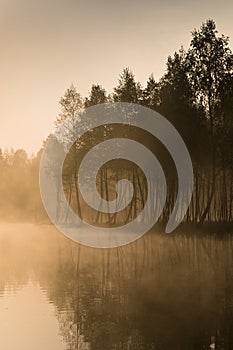 Quiet lake morning fog photo