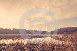 Quiet lake in the sunrise