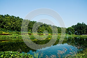 Quiet lake under blue sky