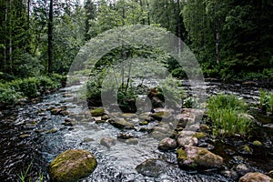 A quiet life by the river