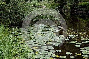 A quiet life by the river