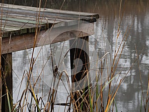 Quiet Morning on the Marsh