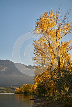 Osoyoos Lake Shore Fall Colors