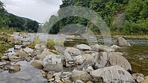 Quiet mountain river Prut