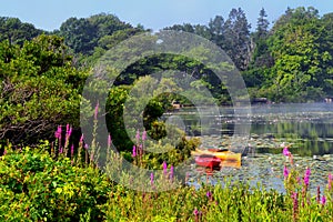 Silencioso Océano piscina en 