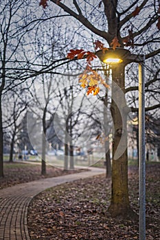 Quiet path in the town park