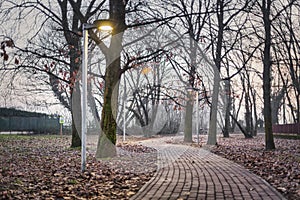 Quiet path in the town park ground view