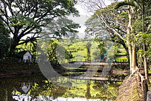 Quiet and peaceful La Mesa ECP park at Quezon city