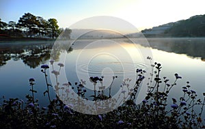 Quiet, peaceful scenery of Than Tho lake, Da Lat