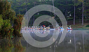 Quiet, peaceful scenery of Than Tho lake, Da Lat