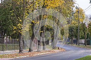 Quiet and peaceful street in the suburbs on an autumn sunny day. City