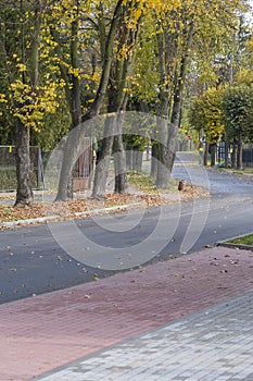 Quiet and peaceful street in the suburbs on an autumn sunny day. City