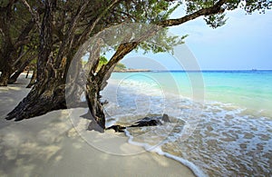 Quiet and peaceful white sand beach of koh samed rayong province