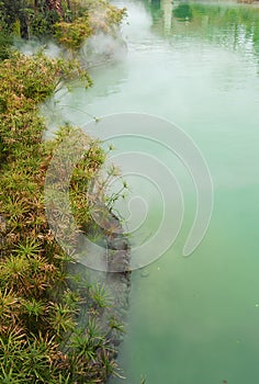 Quiet pond in the mist