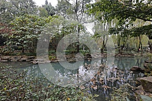 The quiet pool garden in wuhouci temple, adobe rgb