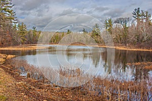 Quiet reflecton spot on New Hampshire pond