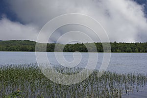 Quiet reflecton spot on New Hampshire pond photo