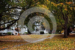 Quiet residential street in October