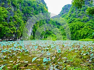 Quiet Ride On Peaceful Tam Coc River