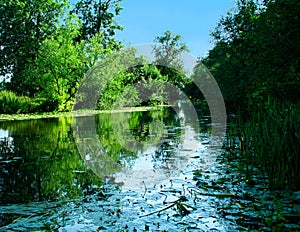 Quiet river scenery