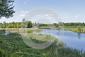 Quiet Ros river at summer