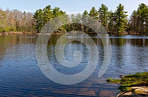 Quiet shoreline of Pitcher Pond in Maine in the springtime