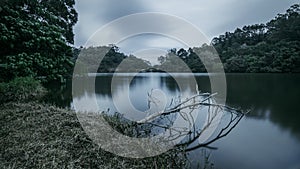 Quiet smooth water pond in dull color in Hong Kong