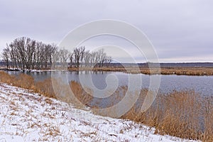 Quiet Snow on a Secluded Wildlife Refuge