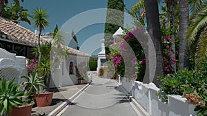 Quiet Street in a Mediterranean Village Lined with Potted Plants and Flowers