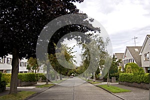 Quiet suburban street in Dublin.