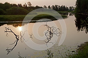 Quiet summer evening on the river.