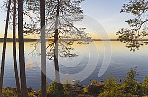 Quiet sunny evening on the lake