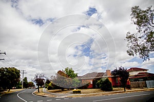 Quiet, uninhabited street, green, tall trees