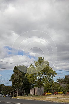 Quiet, uninhabited street, green, tall trees