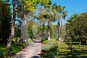 Quiet walkway into tropical garden