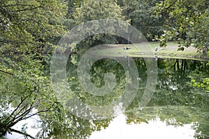 Quiet water lake in the city